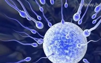 云南卵巢早衰试管成本高吗？卵巢衰退试管的过程和成本细节！