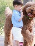 2026年广西做三代试管婴儿需要多少钱？附试管婴儿费用明细！