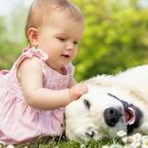 确诊为免疫性不孕能在高平市做试管婴儿吗？做三代试管需要多少钱？