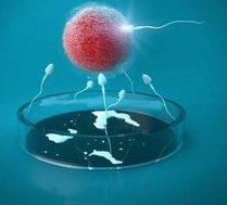 福建比较好的第三代试管婴儿医院是哪家？费用及成功率详解