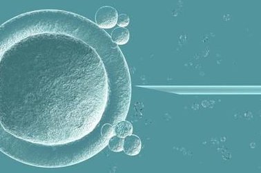 内蒙古三代试管婴儿价格范围2026年报销政策具体费用均可查询