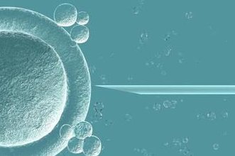 试管婴儿移植后的第25天突然出血是好事还是坏事？